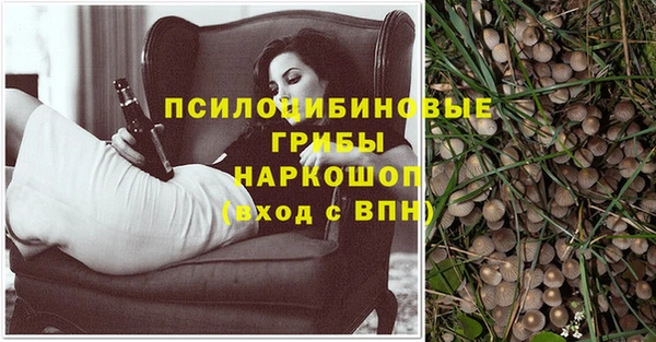 spice Богданович