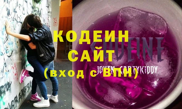 спиды Богородицк
