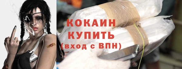 spice Богданович