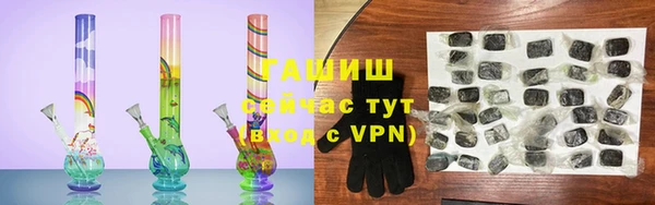 спиды Богородицк