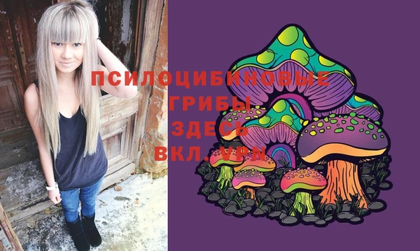 spice Богданович