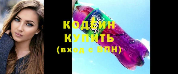 спиды Богородицк