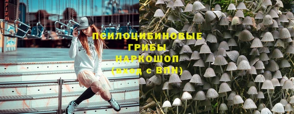 спиды Богородицк