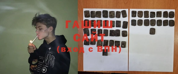 спиды Богородицк