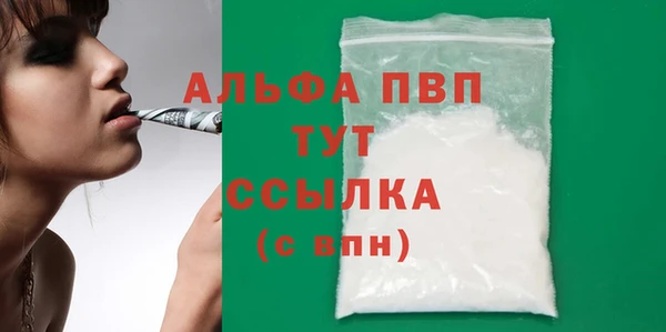 spice Богданович