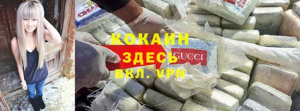 спиды Богородицк