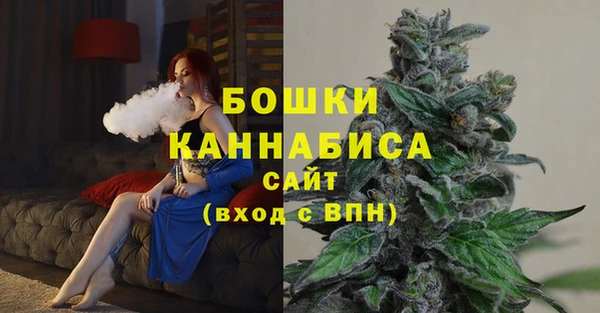 spice Богданович