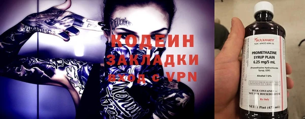 спиды Богородицк