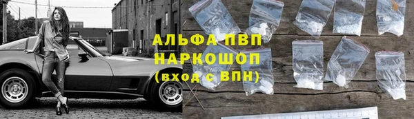 spice Богданович