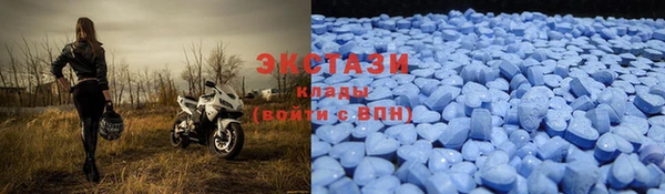 дживик Богородск