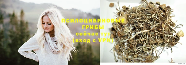дживик Богородск