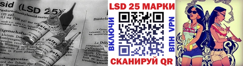блэк спрут ССЫЛКА  Михайловка  Лсд 25 экстази кислота 